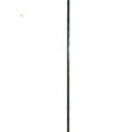 DAIWA CARPA