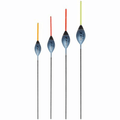 DRENNAN CARP 6