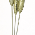 TUBERTINI SERIES 35