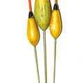 TUBERTINI SERIES 4